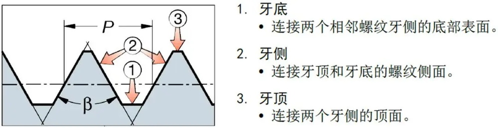 161.jpg